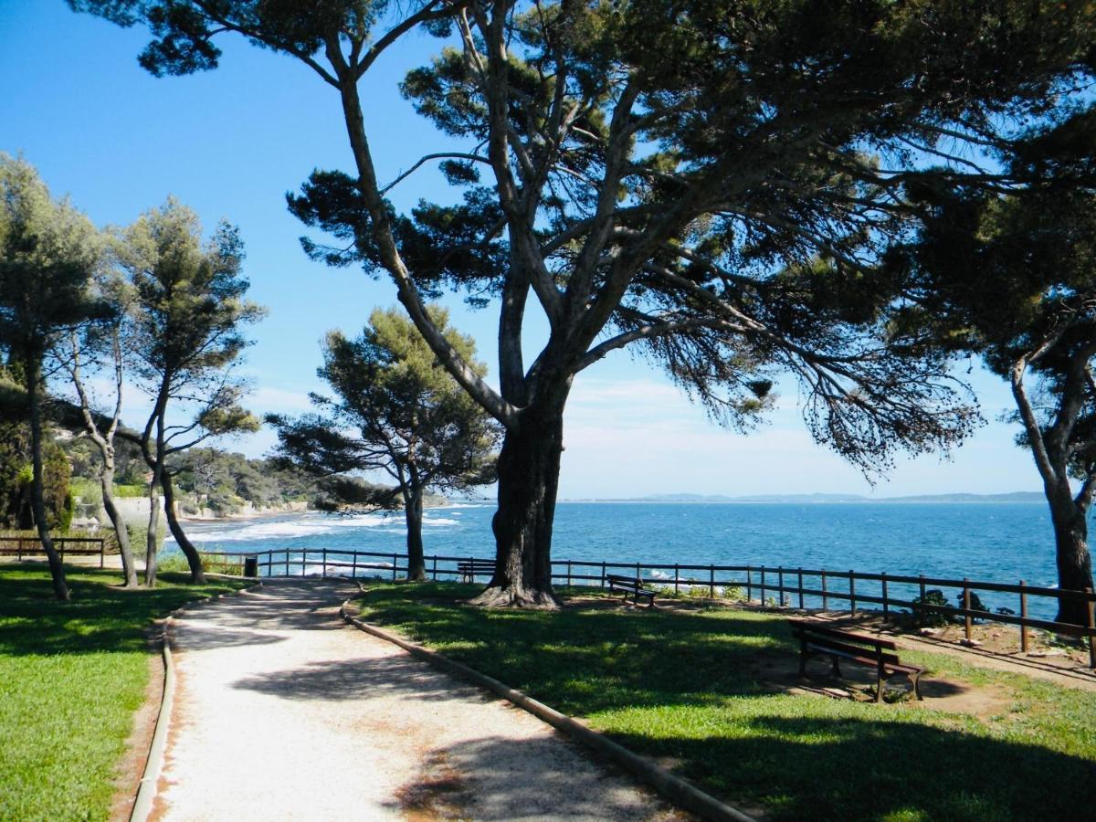 Jolie Climatise Avec Parking Et Proche De La Apartment *
